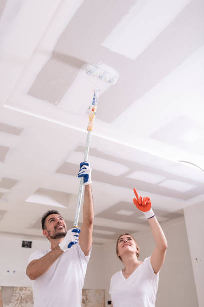 Mold Odor Removal Services in Wekiwa Springs, FL
