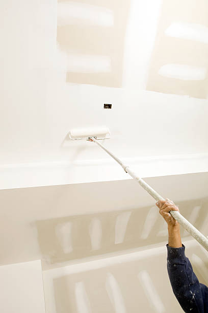 Trusted Wekiwa Springs, FL Mold Removal Experts